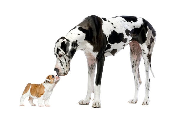 istockphoto-508293708-612x612
